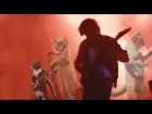 Vladimir VI - Кошачий Вальс (Cat Waltz)