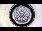 Отблески звука. Киматика - Reflections of a sound. Cymatics