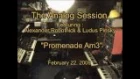 The Analog Session - Promenade Am3