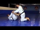 Aprenda Jiu-Jitsu! A raspagem de Braulio Estima "Carcará" a partir da guarda-aranha
