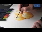 Watercolor pencils | Crayons aquarellables | Lápis de cor aguareláveis