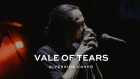 Vale Of Tears – Riverside (full band live cover by Velcrocranes)