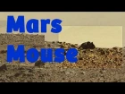 GIGANTIC MOUSE ON MARS!