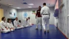 High (koho hiyaku) Aikido ukemi. How to learn.
