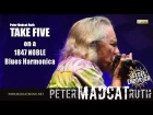 Take Five (Dave Brubeck) played by Peter Madcat Ruth on a SEYDEL 1847 NOBLE diatonic