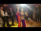 Alla Kushnir bellydancer Daret al ayoum-Wedding in Cairo