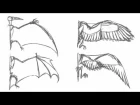 Fly Cycle Guide | Darkmane The Werewolf