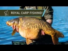 ROYAL CARP FISHING - Simon Crow at Windsor Park!