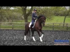 How to start the flying changes dressage