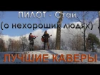 Пилот - Стаи (о нехороших людях) cover by Serebryanochka