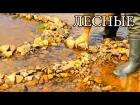 Ловушка для рыбы - "КАМЕННЫЙ ЛАБИРИНТ "