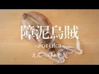 How to filet Oval Squid fin&tentacles 