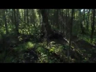 Лесной Танец - Таёжное Царство