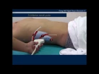 5 minute How to do FAST ultrasound like expert