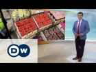 Кремль объявил Голландии "войну роз" - DW Новости 10.08.2015