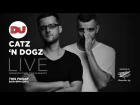 Catz 'N Dogz LIVE from DJ Mag HQ