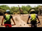 Botswana MTB Safari: Spotting African Wildlife by Bike
