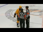 Refs blow whistle early, cost Predators all-important opening goal