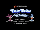Tiny Toon Adventures (NES) - Haunted Forest - Cover by StereoCartridge