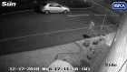 Distressing moment man dumps dog and drives away