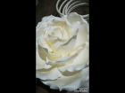 Бесплатный МК роза торшер из изолона высота 170 см