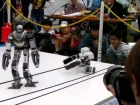 Robot Pro-Wrestling Dekinnoka16, Saaga vs Hauser