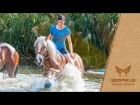 MEGASUS Horserunners - Crowdfunding the world’s first clippable runners for horses.