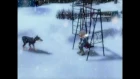 Глюк`ozа - Снег идет (2003)