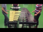 Amelie - La Valse d'Amelie on marimba (cover)