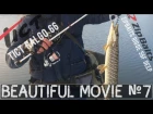 Beautiful Movie №7 Белоснежные Tict Ralgo 66 и ZipBaits Rigge 56F Deep