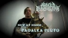 New at NAMM - Padalka Pluto Singlecut 7-string guitar