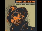 Funky Destination - The Inside Man (Soopasoul remix)