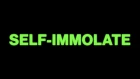 King Gizzard & The Lizard Wizard - Self-Immolate (Official Music Video)