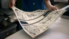 Toile de Jouy Dior Book Tote savoir-faire: vidéo