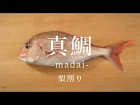 真鯛（まだい）のさばき方：梨割り - How to filet Red Sea Bream ver.Nashi Wari -｜日本さばけるプロジ&