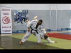 Jacques Payet Sensei (7 dan Yoshinkan Aikido), Показательные. Novosibirsk 2014.