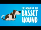 The Origin of the Basset Hound (Animation)