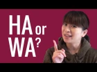 Ask a Japanese Teacher! Why is HA (は) read as WA (わ)?