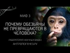 Почему обезьяны не превращаются в человека? Мифы об эволюции человека gjxtve j,tpmzys yt ghtdhfof.ncz d xtkjdtrf? vbas j, 'djk.w