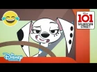 101 Dalmatian Street | Ransom Pups - Episode  | Disney Channel UK