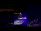 Bruno Pelletier “bring him home” (06.11.2017 Москва, Театр «Русская песня»)