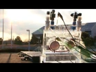 Artificial Photosynthesis System as efficient as plants and can reduce CO2 levels #DigInfo