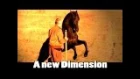 Hempfling - Horses & Life - The New Dimension