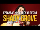Как играть красивую ирландскую мелодию на гитаре (Shady Grove) - Уроки игры на гитаре П...