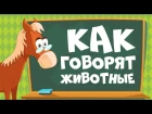 КАК ГОВОРЯТ ЖИВОТНЫЕ? Звуки животных для детей || Учим животных для самых маленьк...