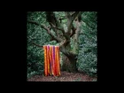 James Holden & The Animal Spirits - Each Moment Like The First