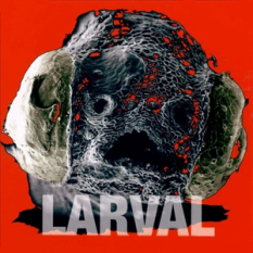 Larval