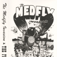 The Medfly Invasion