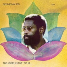 The Jewel In The Lotus