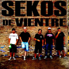 Sekos De Vientre